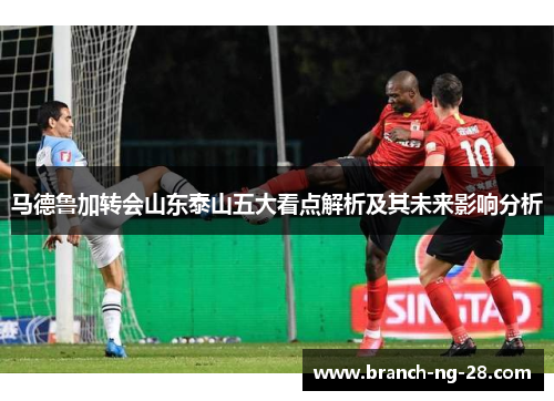马德鲁加转会山东泰山五大看点解析及其未来影响分析